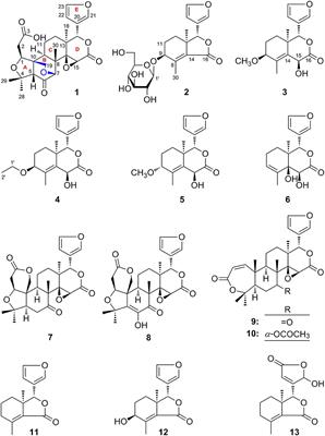 Anti-inflammatory Limonoids From Cortex Dictamni